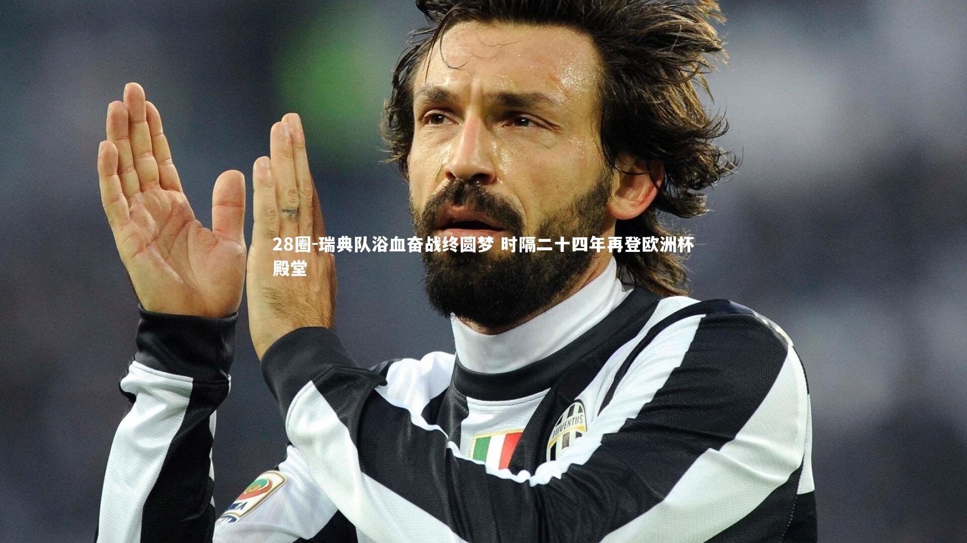 瑞典队浴血奋战终圆梦 时隔二十四年再登欧洲杯殿堂